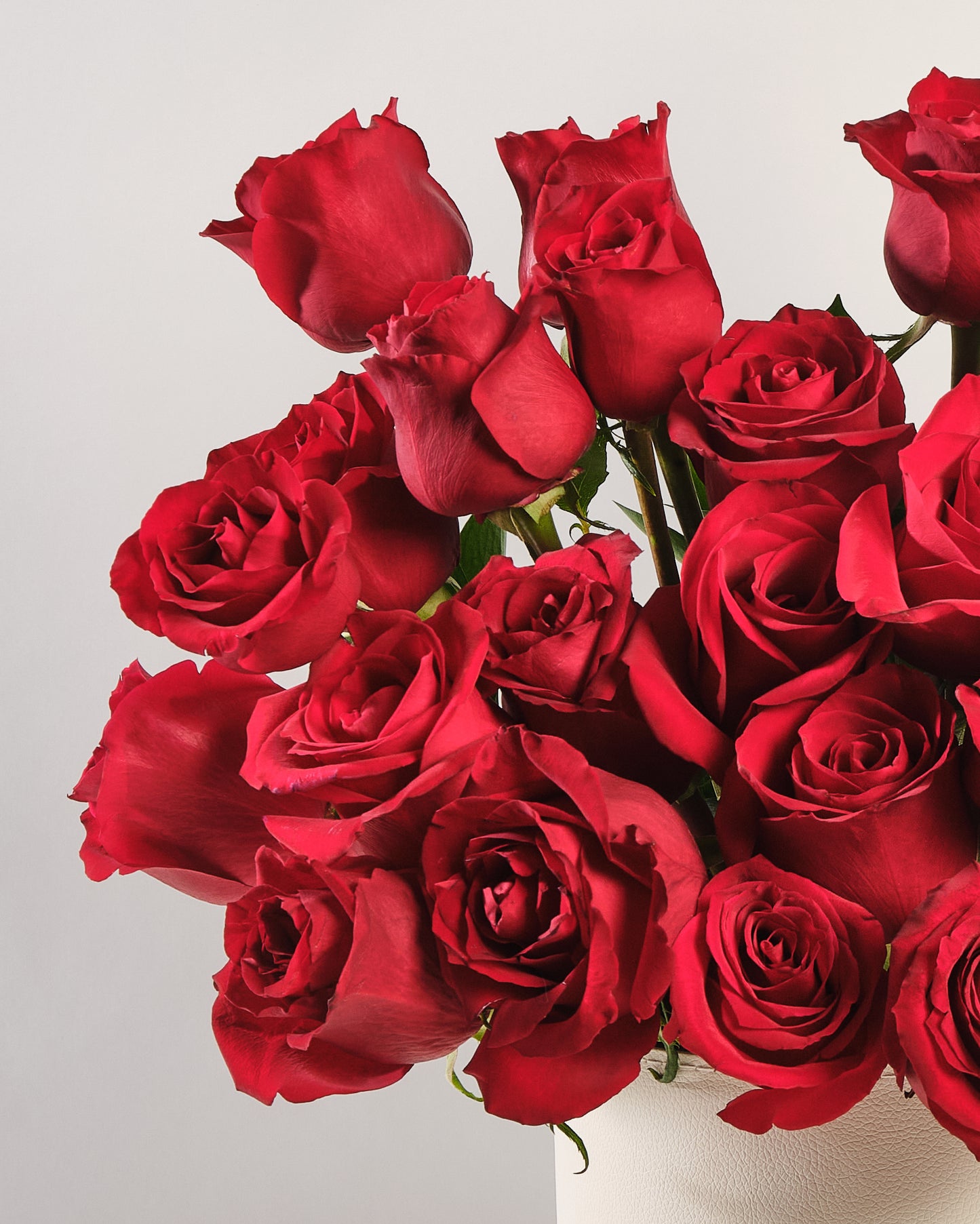 Red Serenade Box