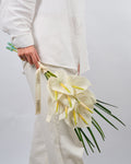 White Anthurium Jerb