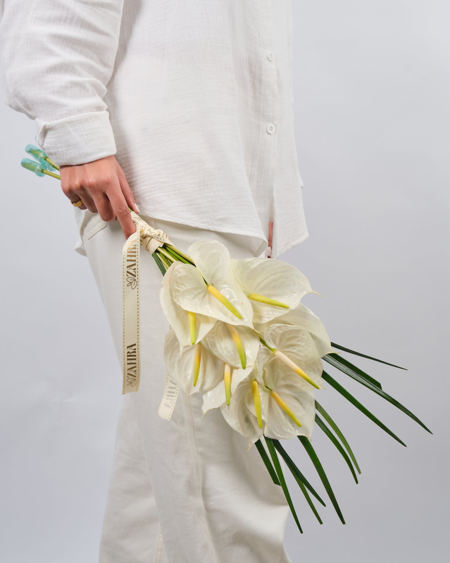 anthurium alb White Anthurium Jerb – Zahra