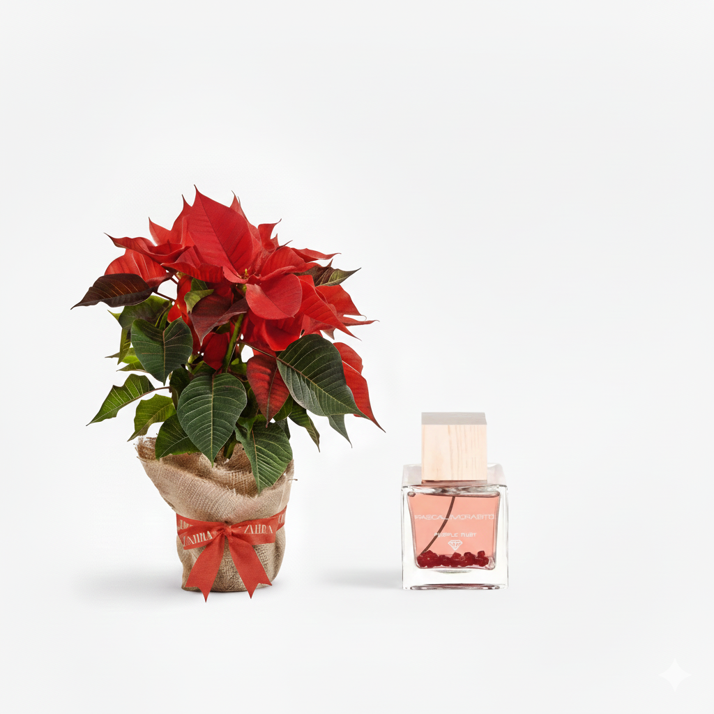 New Year Poinsettia, Deborah Box & Purple Ruby Perfume
