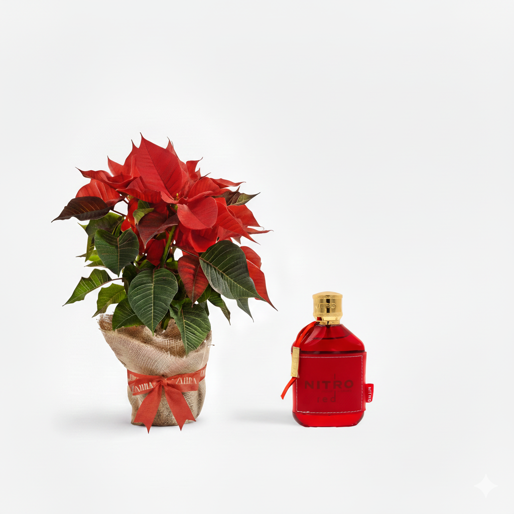 New Year Poinsettia & Nitro Perfume